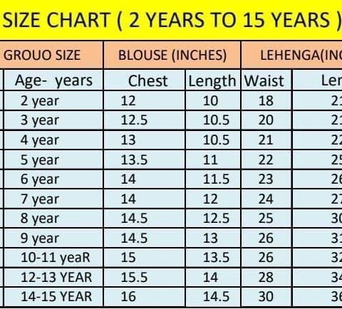 Kalam Kari Printed &  Embroidered lahgas - Image 6