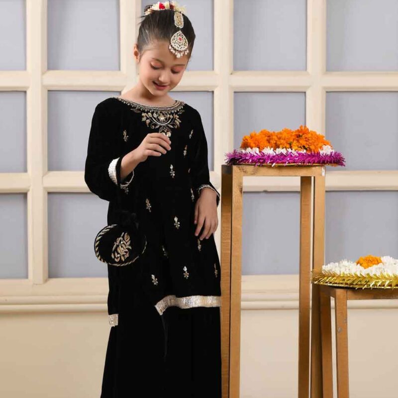 Sharara Set-Heavy Viscose Velvet Emb. & Seq. Fabric - Image 12