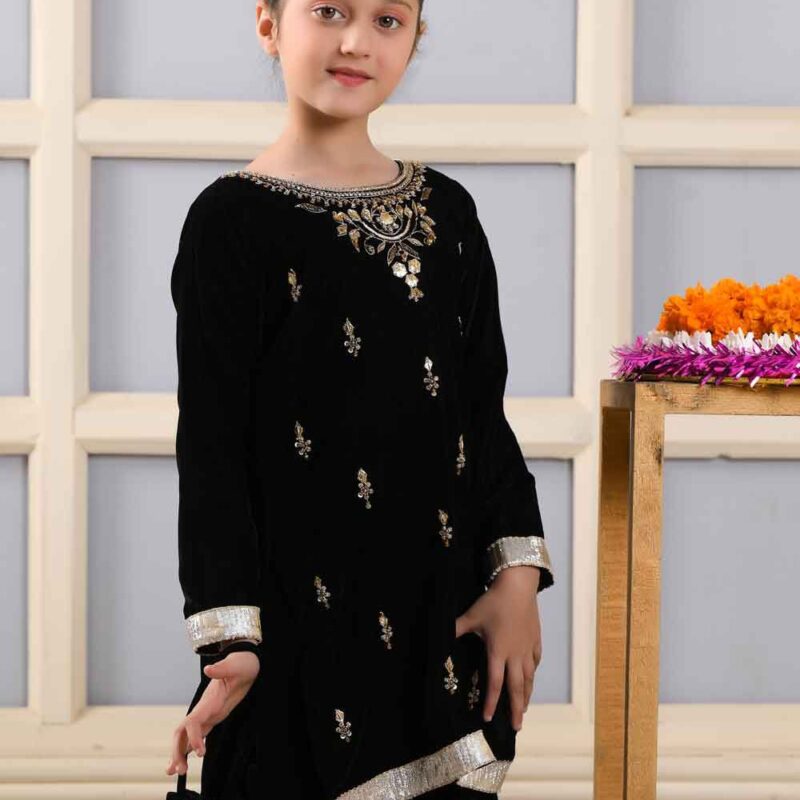 Sharara Set-Heavy Viscose Velvet Emb. & Seq. Fabric - Image 11