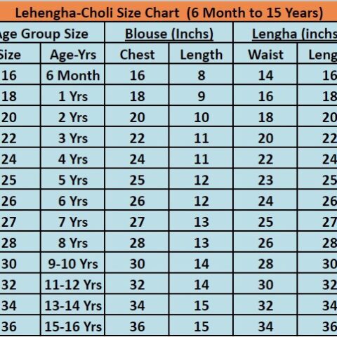 Lehenga Choli -Heavy Sequins Embroidery Viscose - Image 14