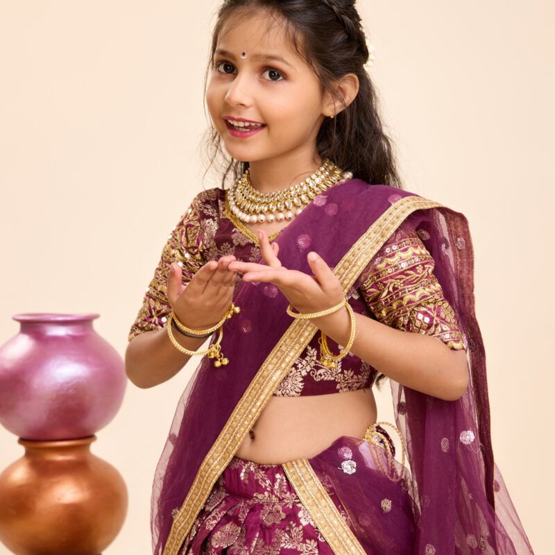 Lehenga Choli -Heavy Sequins Embroidery Viscose - Image 12