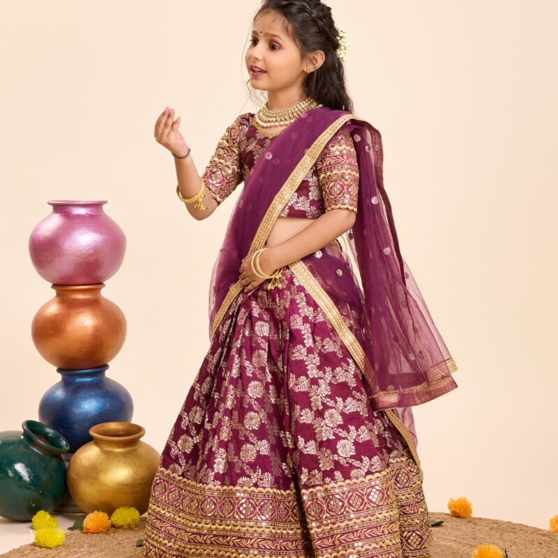 Lehenga Choli -Heavy Sequins Embroidery Viscose - Image 11