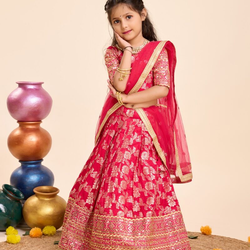 Lehenga Choli -Heavy Sequins Embroidery Viscose - Image 9