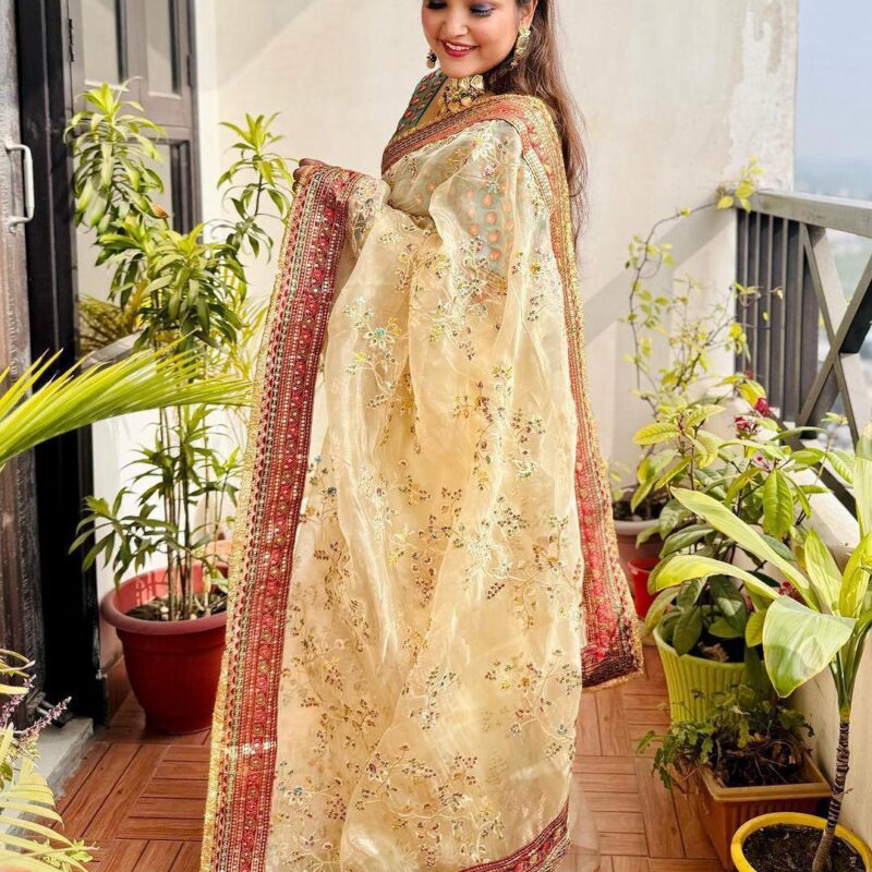 Pure Soft Organza Silk Saree with Multicolour Sequin Embroidery & Designer Blouse - Image 3