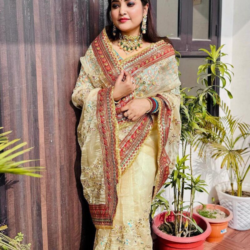 Pure Soft Organza Silk Saree with Multicolour Sequin Embroidery & Designer Blouse